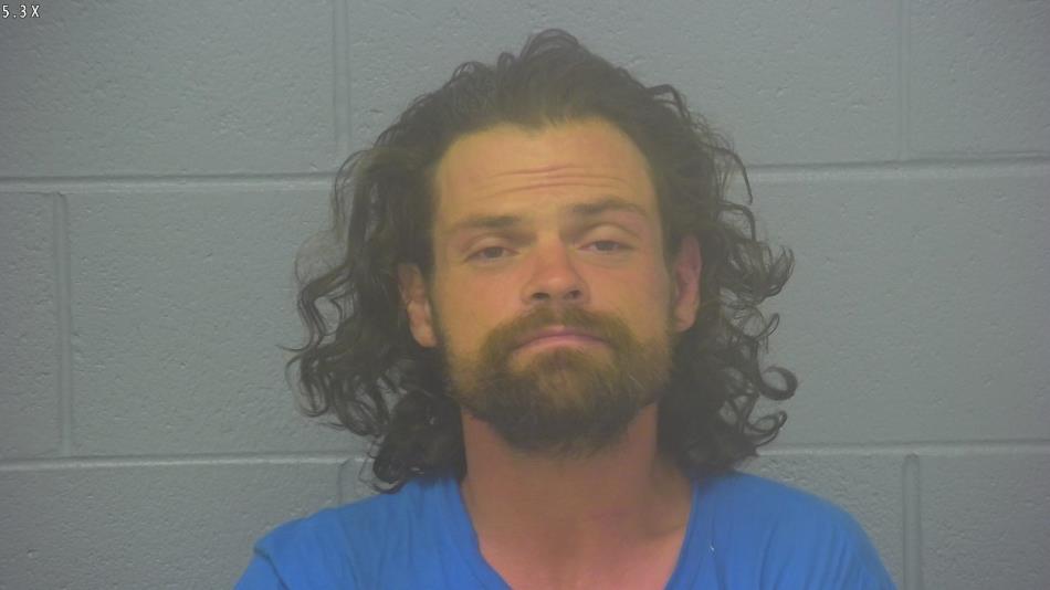 Arrest Photo of MICHAEL HANSEN in Greene County, MO.