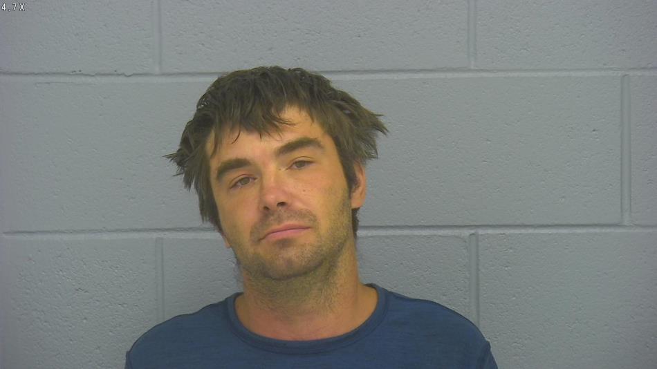 Arrest photo of MICHAEL WILSON