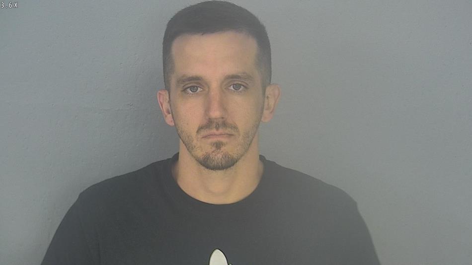 Arrest photo of MICHAEL HESTON