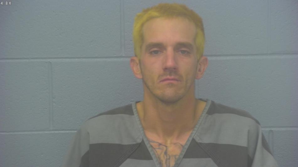 Arrest photo of MICHAEL HESTON