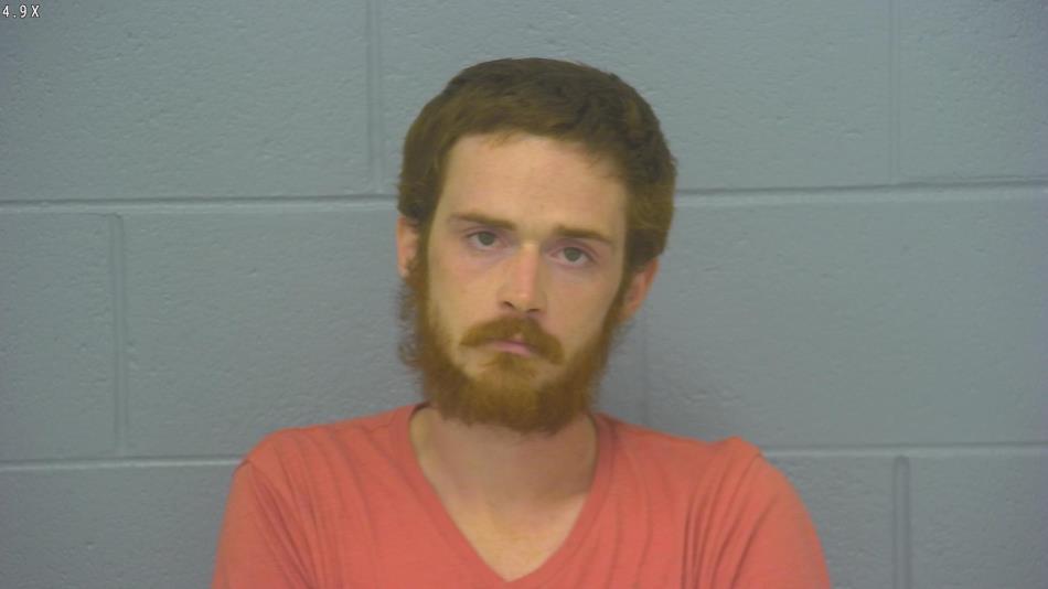 Arrest photo of MICHAEL  HAFFNER