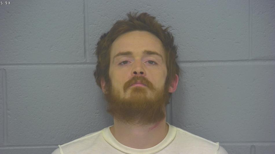 Arrest photo of MICHAEL  HAFFNER