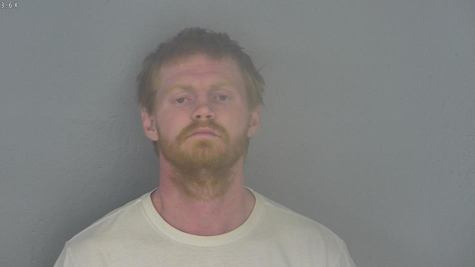 Arrest photo of MICHAEL LAPHAM