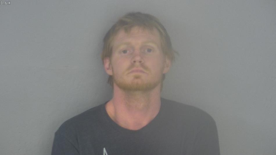 Arrest photo of MICHAEL LAPHAM