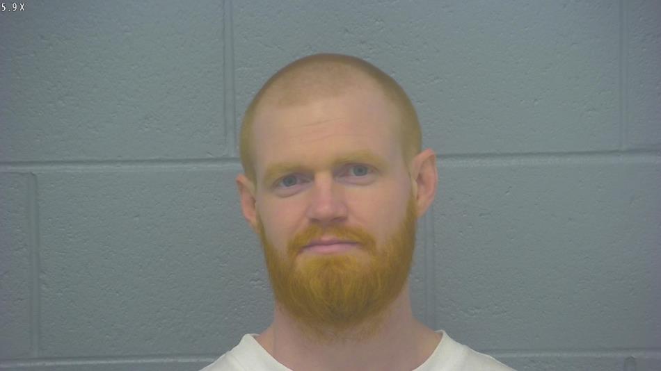 Arrest photo of MICHAEL LAPHAM