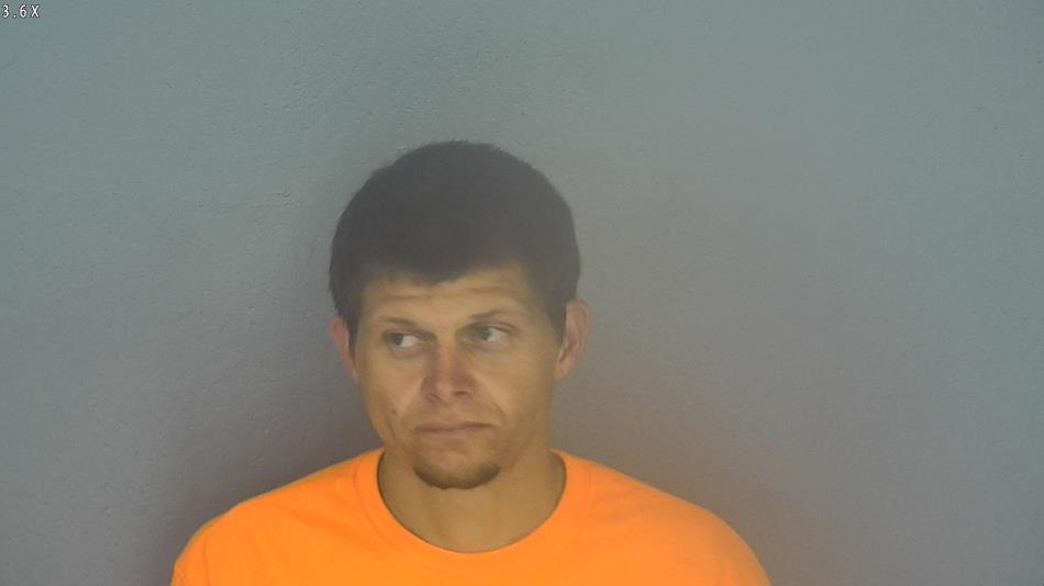 Arrest photo of MICHAEL LAVIGNE