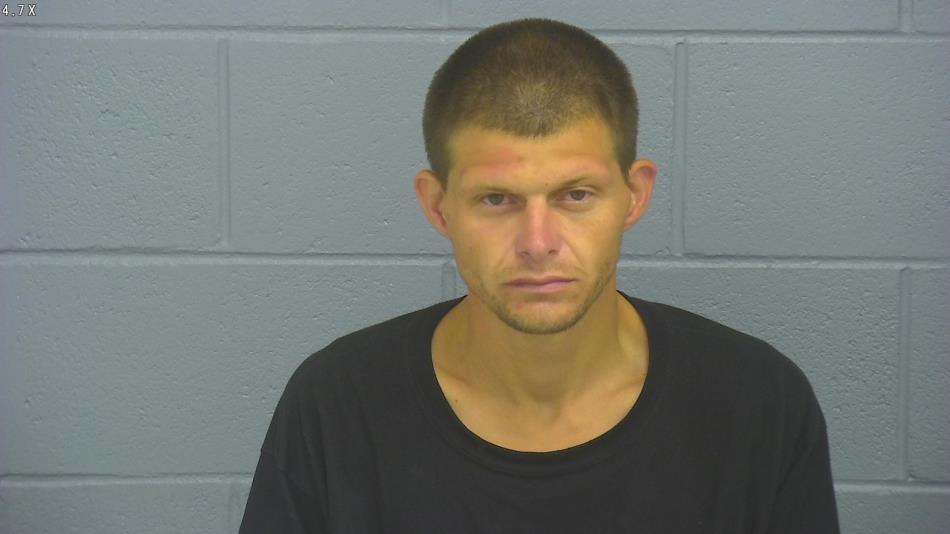 Arrest photo of MICHAEL LAVIGNE