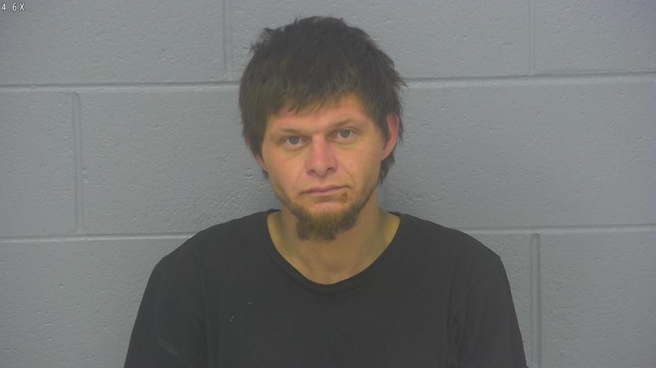 Arrest photo of MICHAEL LAVIGNE
