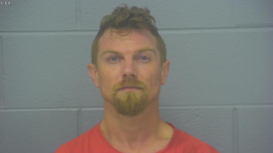 Arrest photo of MICHAEL BRAUN