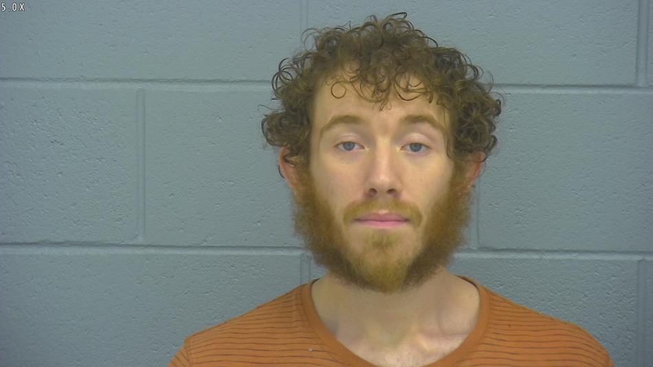 Arrest photo of MICHAEL DEWITT