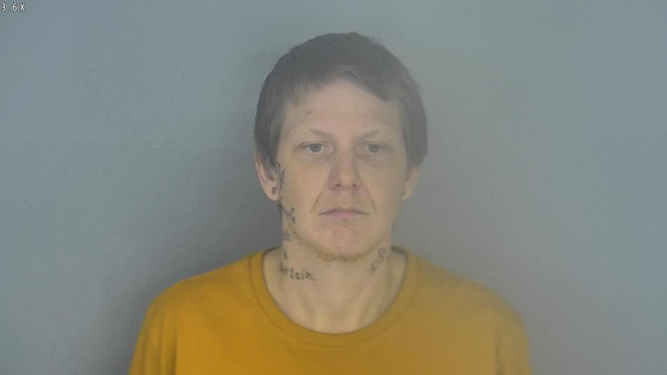 Arrest photo of MICHAEL COOLEY