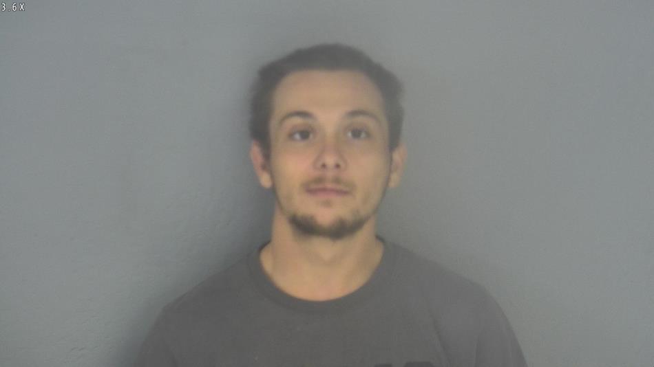 Arrest photo of MICHAEL PULIS