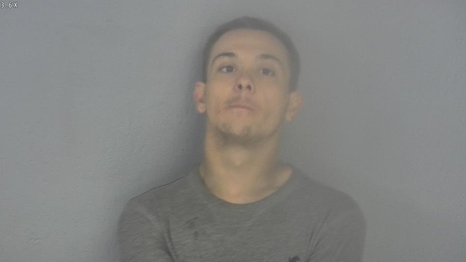 Arrest photo of MICHAEL PULIS