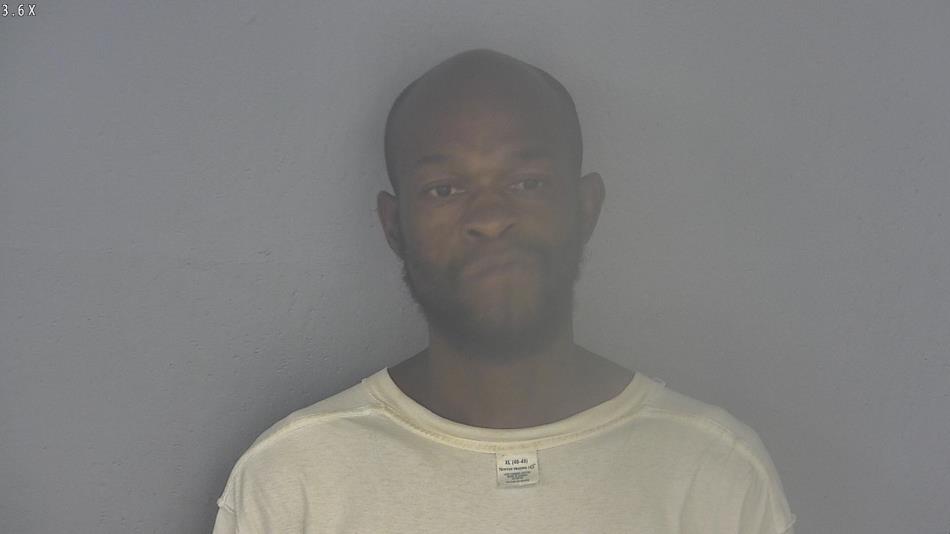 Arrest photo of MICHAEL WADE