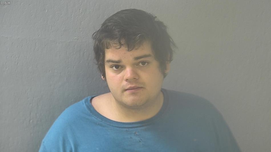 Arrest photo of MICHAEL NOWLIN