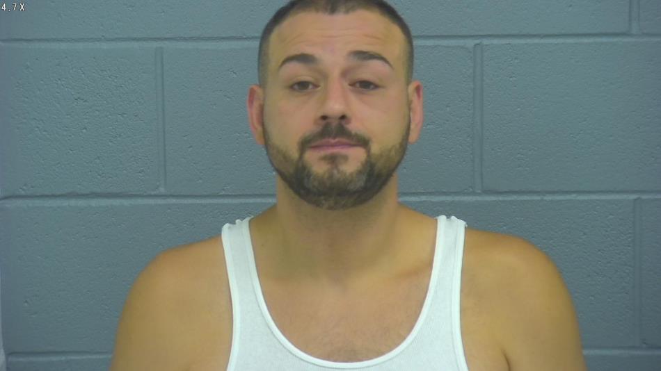 Arrest photo of MICHAEL CALDARELLI