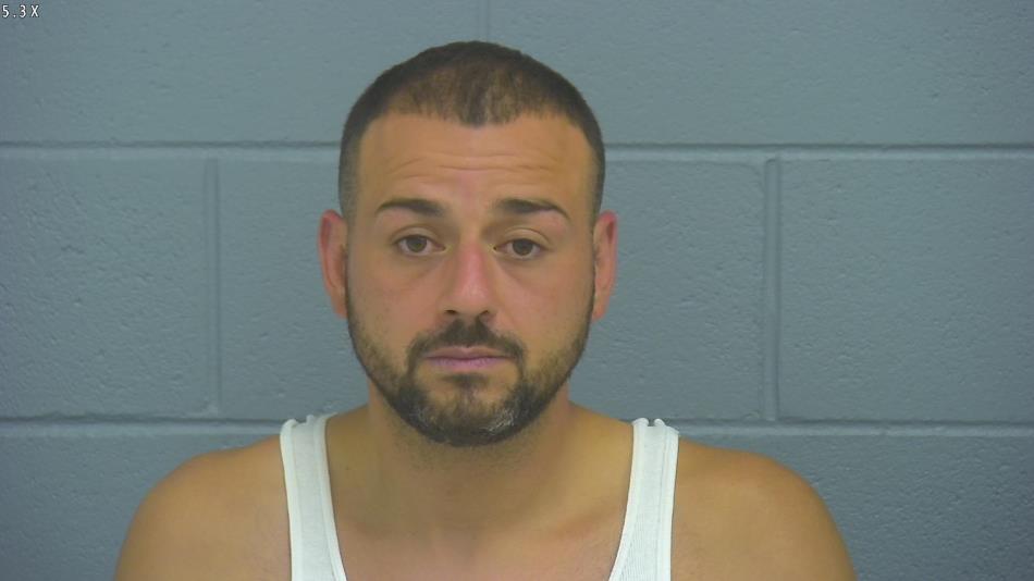 Arrest photo of MICHAEL CALDARELLI