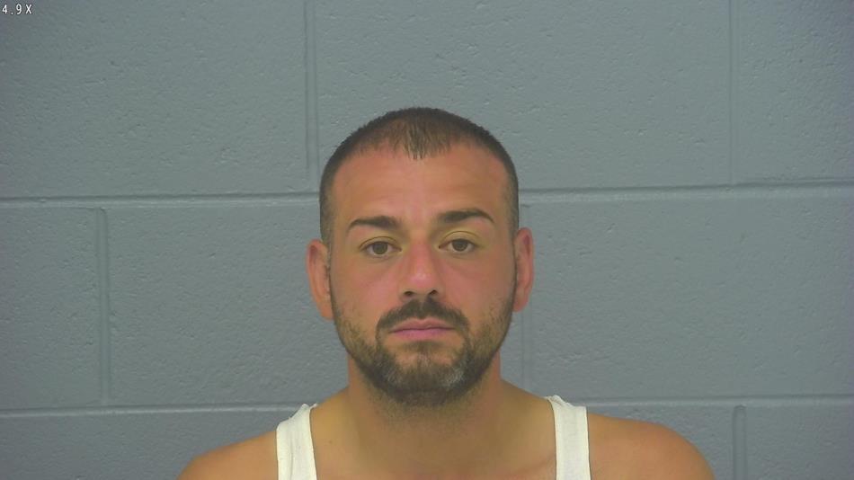 Arrest photo of MICHAEL CALDARELLI