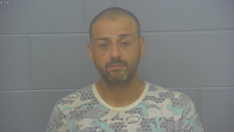 Arrest photo of MICHAEL CALDARELLI