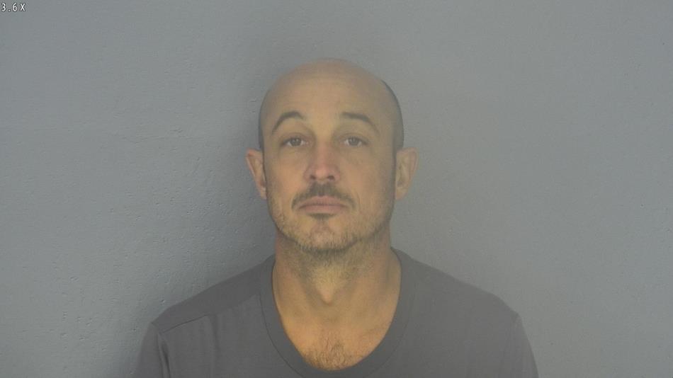 Arrest photo of MICHAEL LUCE