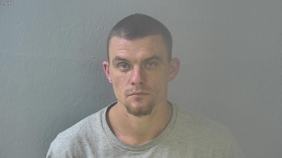 Arrest photo of MICHAEL MARSH