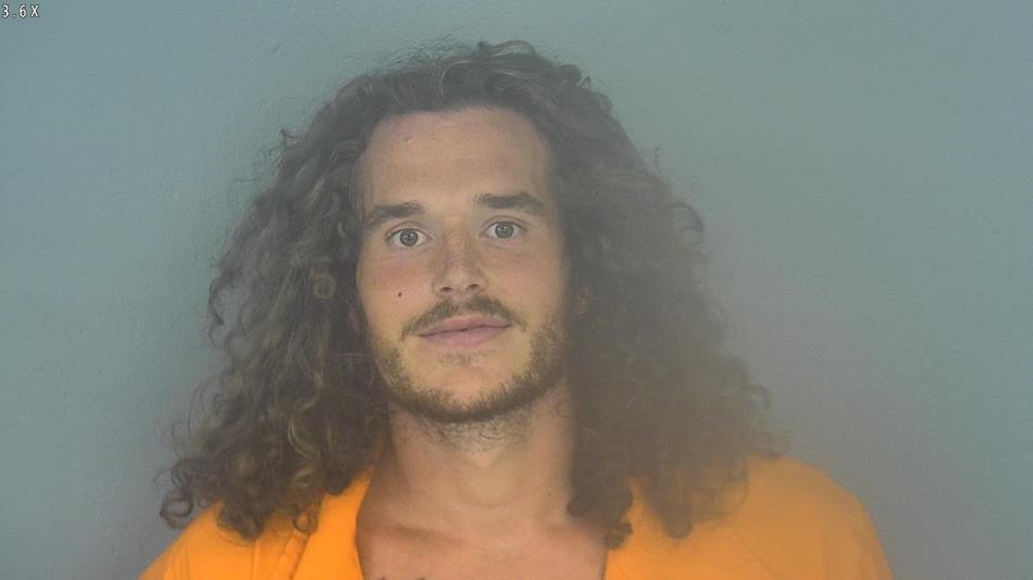 Arrest photo of MICHAEL STOLL