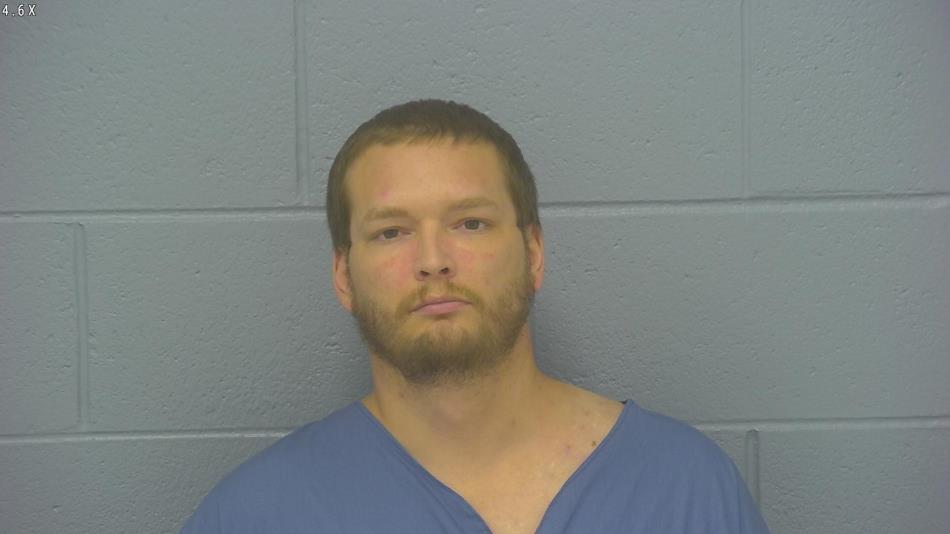 Arrest photo of MICHAEL LOY