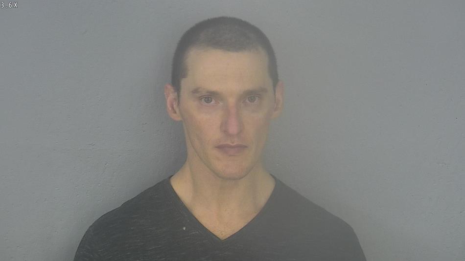 Arrest photo of MICHAEL LISZNIANSKY