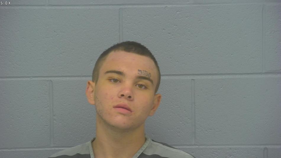 Arrest photo of MICHEAL LEWIS