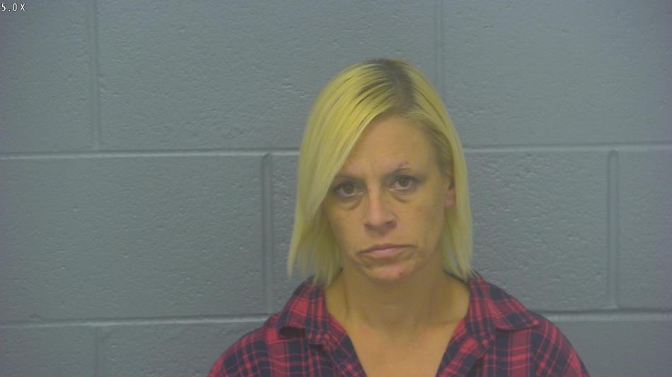 Arrest photo of MICHELE WILDER