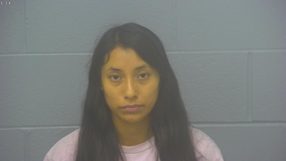 Arrest Photo of MICHELL IBANEZ-FLORES, arrested on 7/1/2025