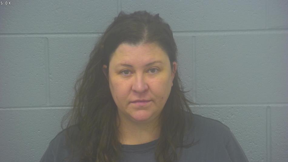 Arrest Photo of MICHELLE HODGSON, arrested on 12/22/2024