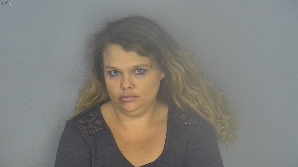 Arrest photo of MICHELLE ADAMS