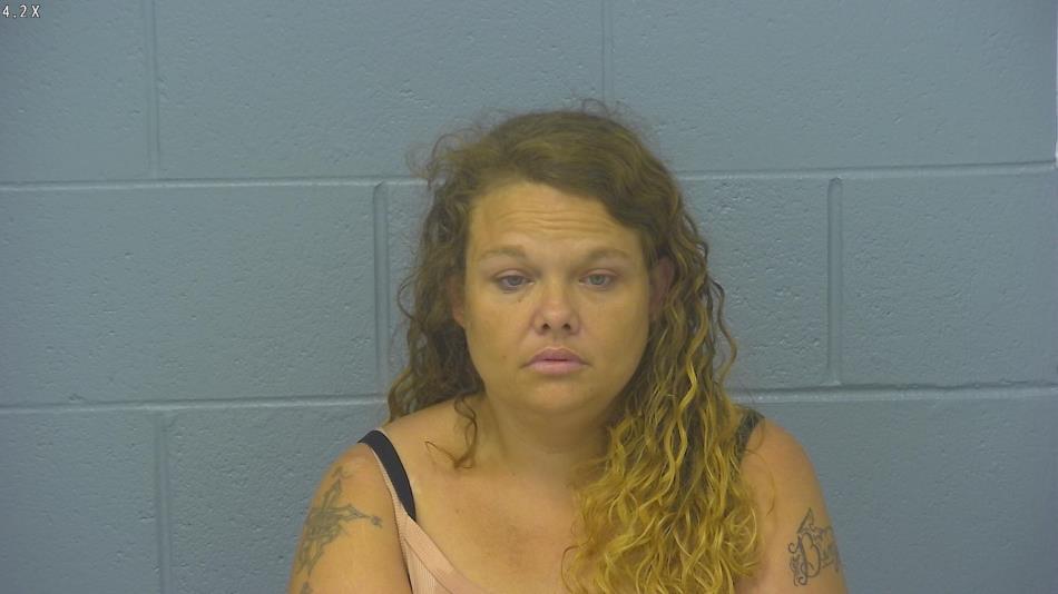 Arrest photo of MICHELLE ADAMS