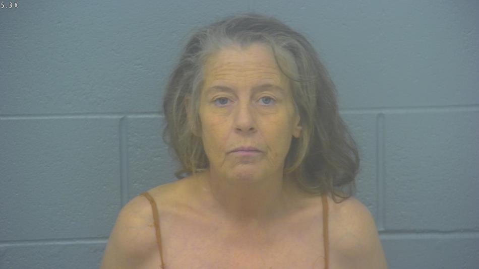 Arrest Photo of MICHELLE COOPER, arrested on 11/9/2024