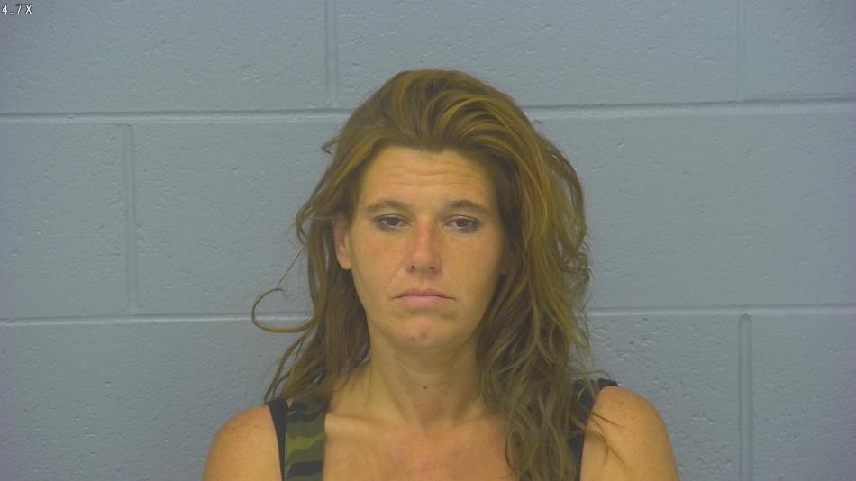 Arrest photo of MICHELLE RICE