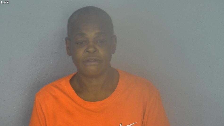 Arrest photo of MICHELLE ROBINSON