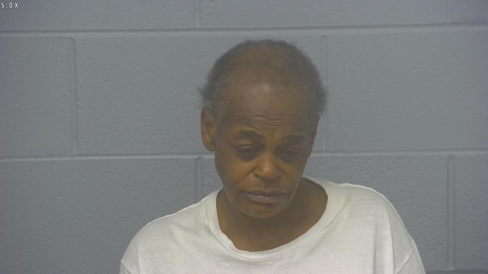 Arrest photo of MICHELLE ROBINSON