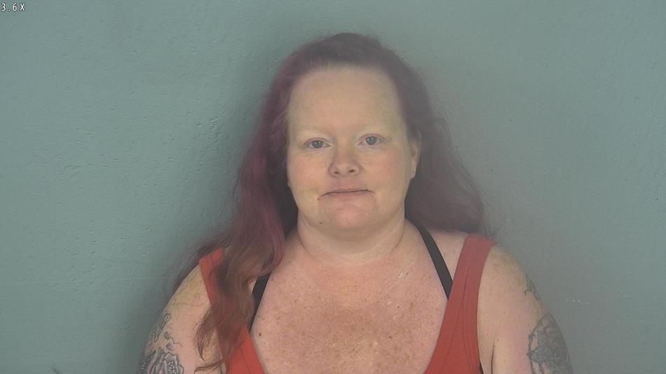 Arrest photo of MICHELLE CHRISTY