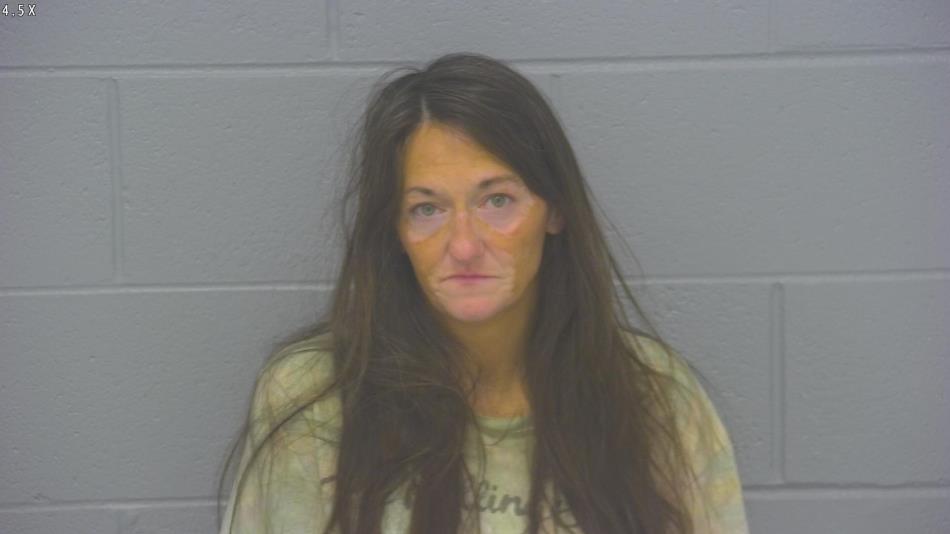 Arrest photo of MICHELLE WARNER