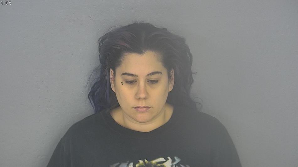 Arrest photo of MICHELLE ALVES