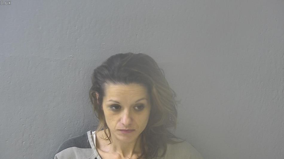 Arrest photo of MICHELLE SCHAEDEL