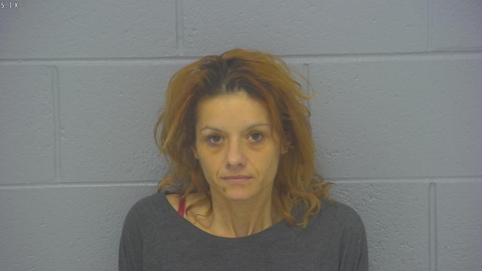 Arrest photo of MICHELLE SCHAEDEL