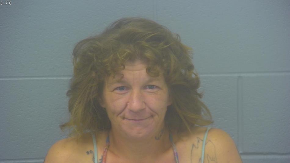 Arrest photo of MICHELLE PRESTON