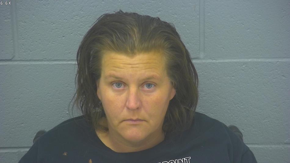 Arrest photo of MICHELLE COMPTON