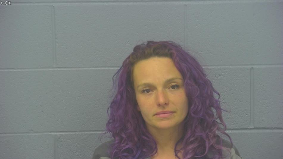 Arrest photo of MICHELLE GARDNER