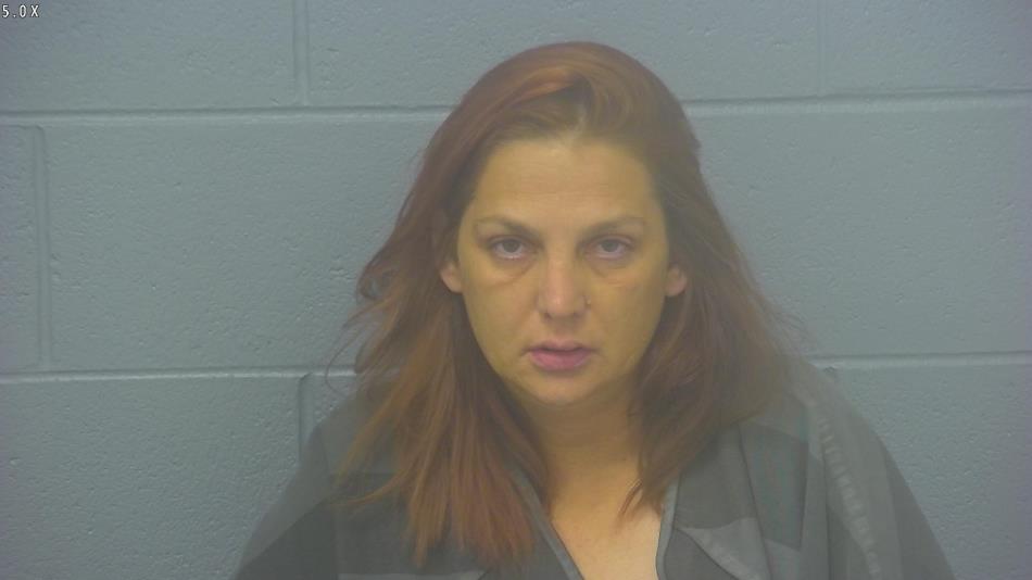 Arrest photo of MICHELLE HIGGINBOTHAM