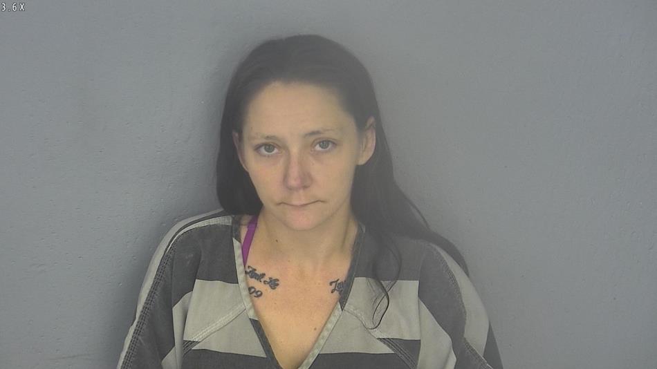 Arrest photo of MICHELLE LACHNEY