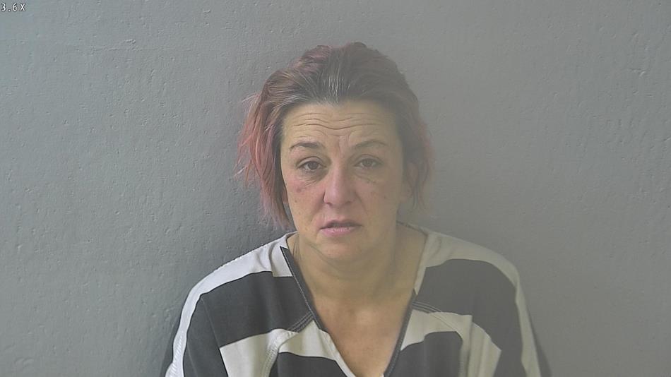 Arrest photo of MICHELLE FINLEY