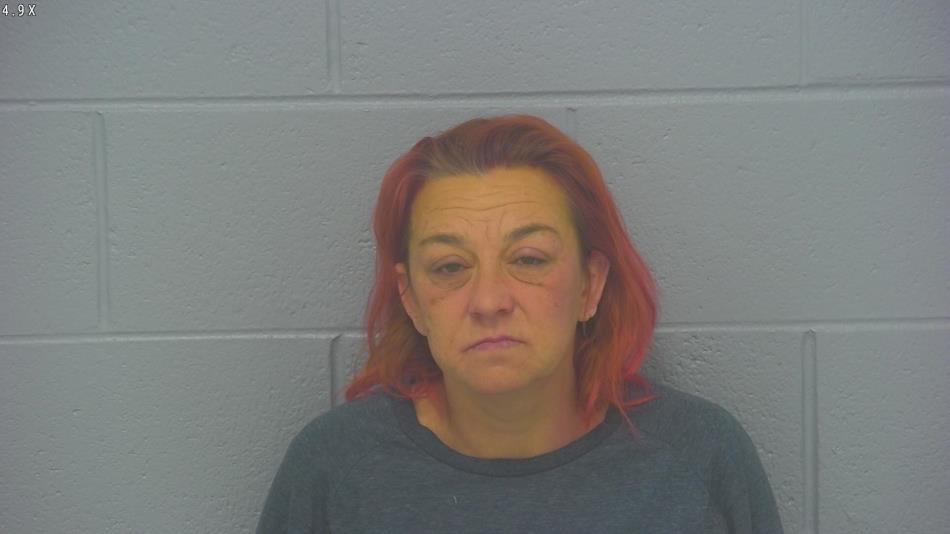 Arrest photo of MICHELLE FINLEY
